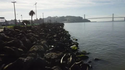 Droning forward above rock coast on Treasure Island toward Bay Bridge 스톡 동영상 234081870