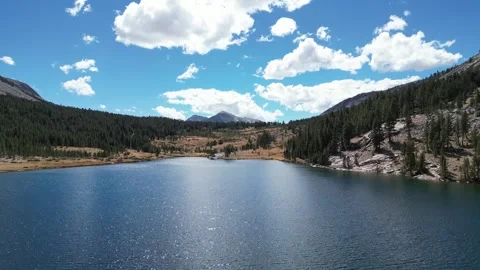 Droning USA 库存影片 247314682