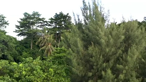 Dron's camera Vídeo Stock 258810109