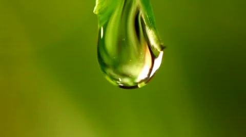 Drop 0000013 Stock Footage 351177