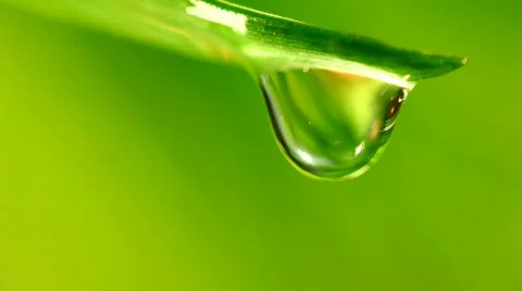 Drop 0000014 Stock Footage 351356