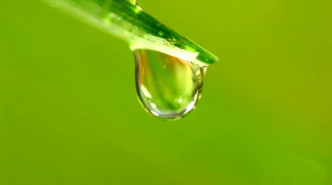 Drop 0000016 Stock Footage 351442