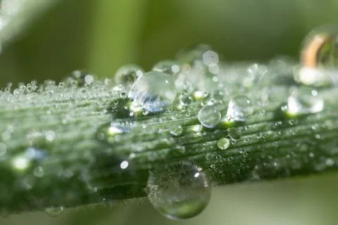 A drop abstract background life light macro natural nature rain Stock Photos