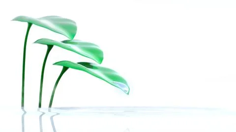 Drop and leaves on white background Stock Illustration