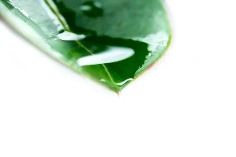 Drop beautiful Stock Photos