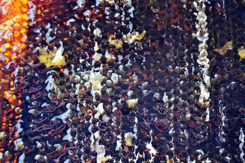 Drop of bee honey drip from hexagonal honeycombs Stock Photos
