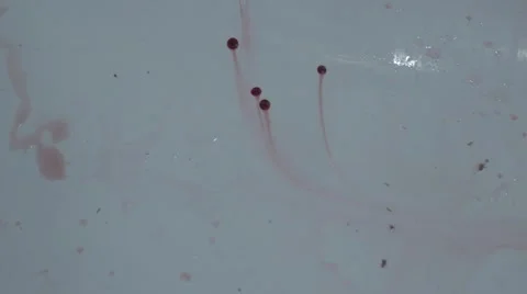 A drop of blood in the bath Stock Footage 57838910