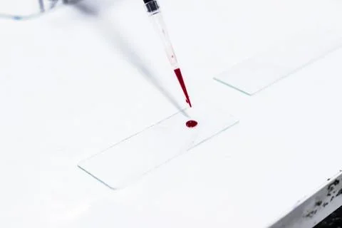 Drop of blood on a glass slide using micropipette microtip Stock Photos
