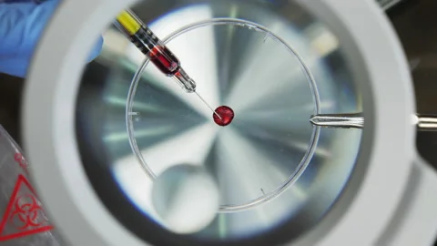 Drop of blood under the microscope Stock-Footage 142274936