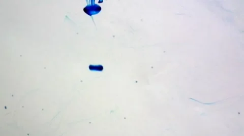 Drop Of  blue Ink In Water motion like smoke Vidéo 1090917