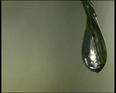Drop. close up Stock-Footage 569093