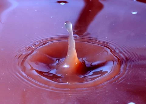 A drop of cocoa 스톡 사진