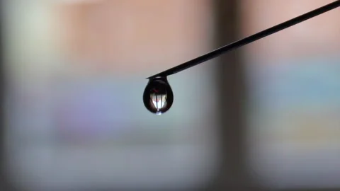 Drop comes out of a syringe needle - 4k - ProRes Stock Footage 144537092