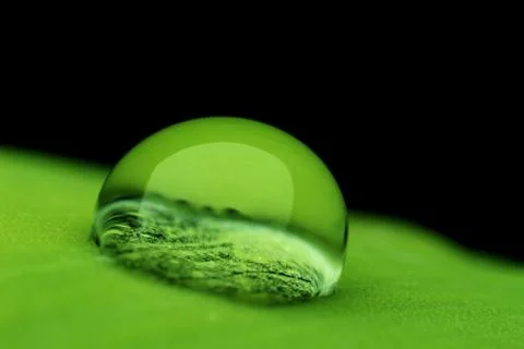 A drop of dew on a green leaf very close up Stock Photos