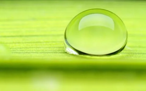 A drop of dew on a green leaf very close up Stock Photos