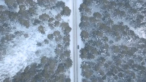 Drop down to the car on road in the forest winter Stock Footage 88324242