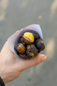 Drop down view of hand holding cone with delicious chestnuts. Stock Photos