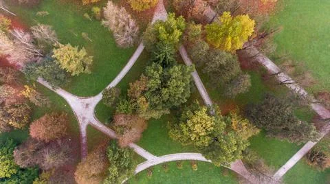Drop down view of many trails running through trees in a park. Stock Photos