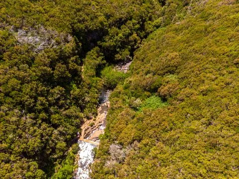 Drop down view of river runing through forest. Stock Photos
