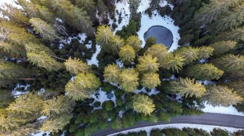 Drop down view of road crossing winter pine forest with small pond. Stock Photos