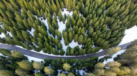 Drop down view of road crossing winter pine forest with small pond. Stock Photos