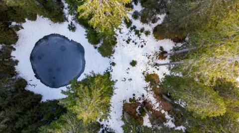 Drop down view of road crossing winter pine forest with small pond. Stock Photos