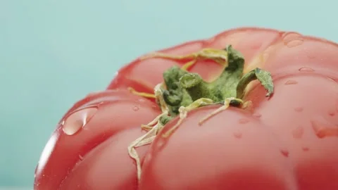 A drop drips on a ripe tomato Stock Footage 150909103