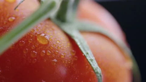 A drop drips on a ripe tomato Stock Footage 150949290
