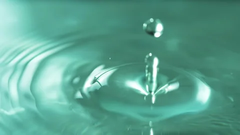 Drop by Drop 4K 422 Stock Footage 340972331