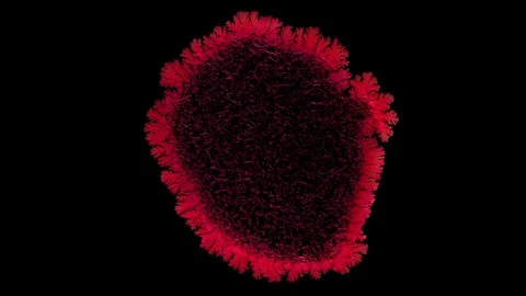 Drop drying with crystals growth. Stock Footage 91079633