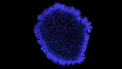 Drop drying with crystals growth. Stock Footage 91123915