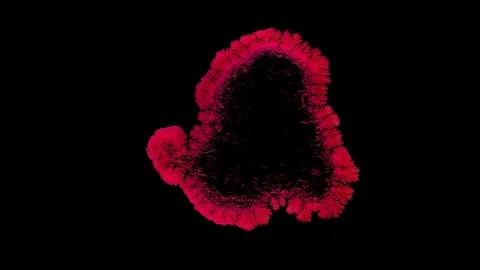 Drop drying with crystals growth. Stock Footage 91174634