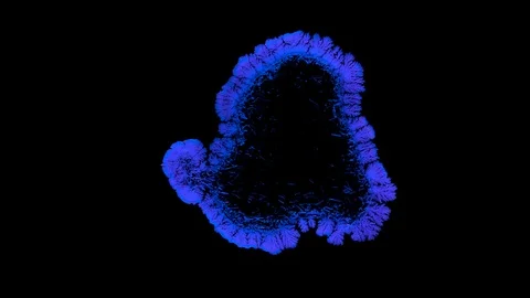 Drop drying with crystals growth. Stock Footage 91211533