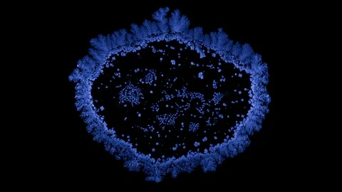 Drop drying with crystals growth. Stock Footage 91454915