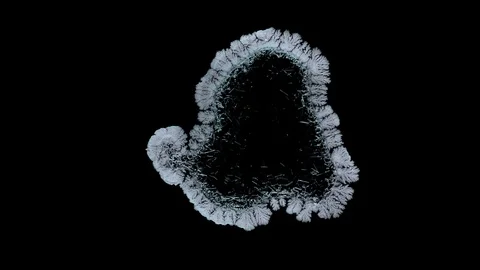 Drop drying with crystals growth. Sodium chloride. Stock Footage 91212469