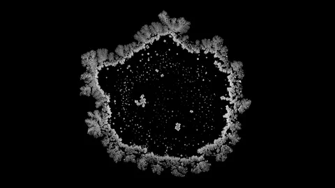 Drop drying with crystals growth. Sodium chloride. Stock Footage 91225468
