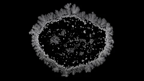 Drop drying with crystals growth. Sodium chloride. Stock Footage 91495667