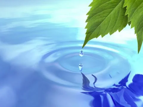 Drop fall from leaf on ripple water. Stock Illustration