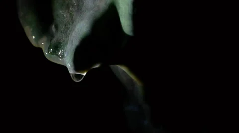 Drop falling Stock Footage 68009537