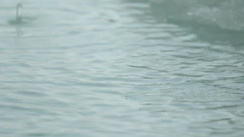 Drop falling in the water Stock Footage 104927128