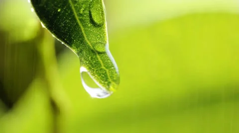 Drop falls Видео 24643333