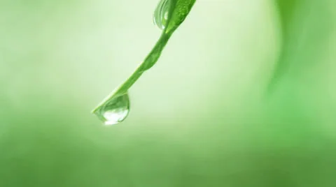 Drop falls Stock Footage 24643645