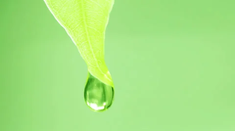 Drop falls Video stock 34219556