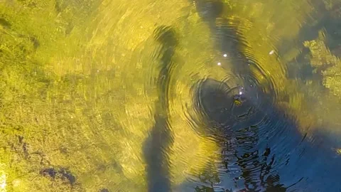 A drop falls into the river Slow Mo 200 fps 스톡 동영상 196802766