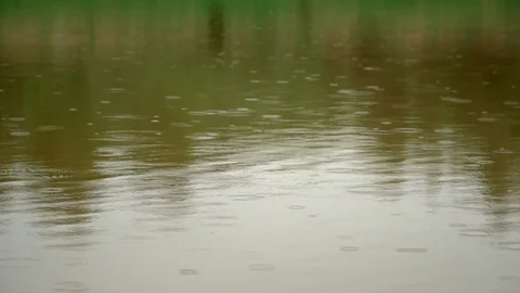 Drop falls on the surface of the lake Video stock 91226231