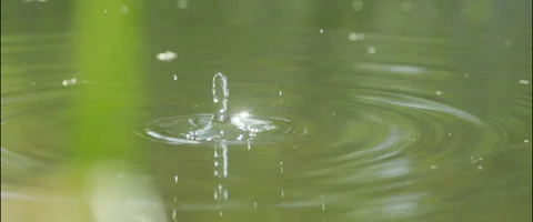 Drop falls on the surface of the lake macro plan Видео 50579972