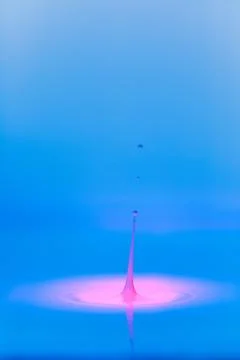 A drop falls into a thick liquid with a blue-pink background. Abstract colo.. Stock Photos