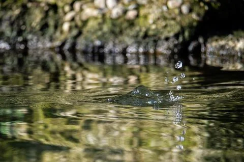 A drop falls into the water. Stock Photos