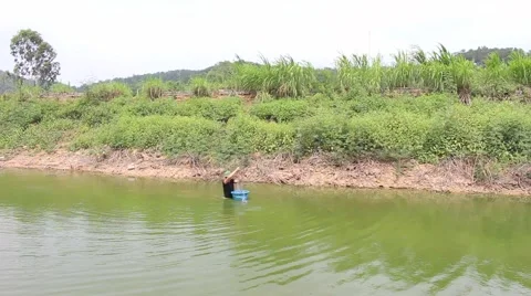 Drop fishing net Stock Footage 67317783