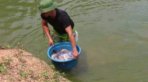 Drop fishing net Stock Footage 67320548